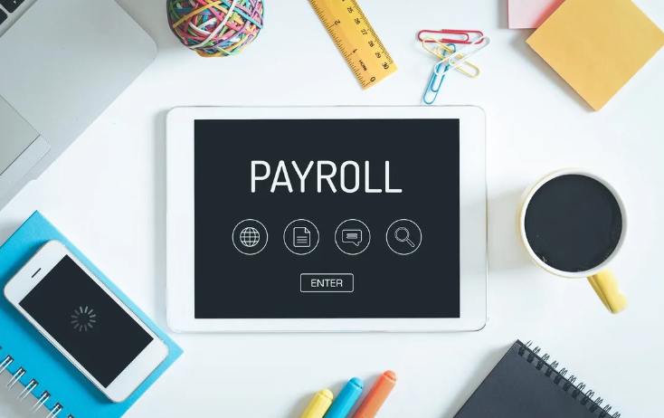 Papaya Payroll: Easy and Efficient Payroll Management Solution Mainulas.my.id