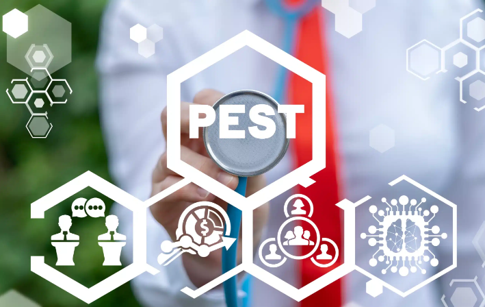 Effective Preventive Pest Control Strategies for Homeowners