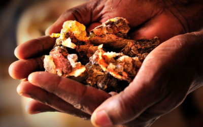 The Power of Frankincense for Pain Management